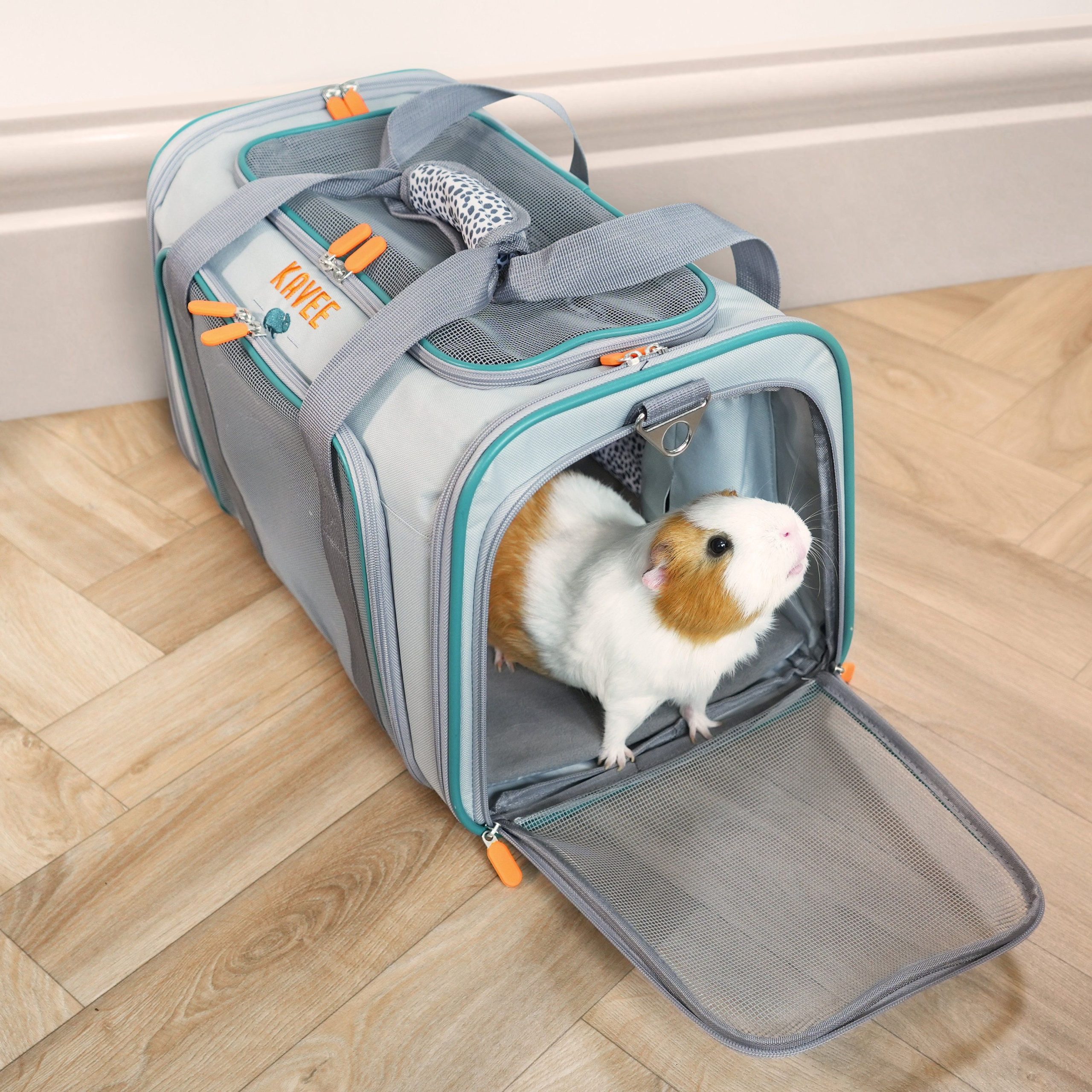 Переноска: как выбрать и безопасно перевезти любимца